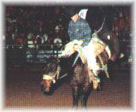 Kansas Championship Ranch Rodeo