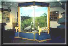 Quivira National Wildlife Refuge Visitors Center