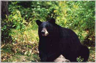 Topeka Zoological Park