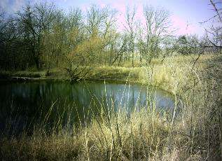 W. Clement Stone Nature Center