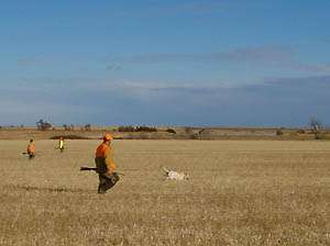 GRAHAM COUNTY- 40,062 ACRES OF WALK-IN HUNTING!!! 