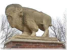 Buffalo Statue