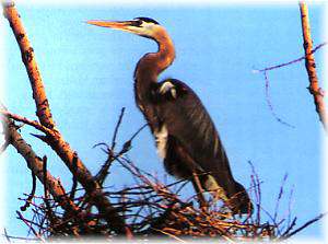 Kirwin National Wildlife Refuge