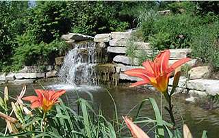 Overland Park Arboretum & Botanical Gardens