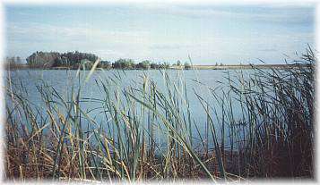 Warren Stone Memorial Lake