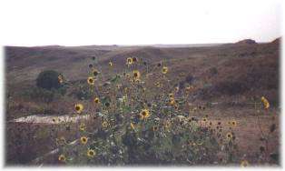 Big Basin Prairie Preserve