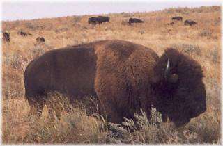 Finney Game Refuge