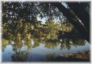 Buckner Valley Park