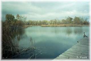 Beymer Water Recreation Park