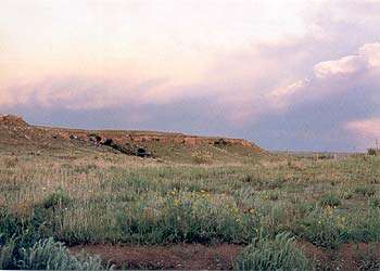 Cimarron National Grassland Auto Tour