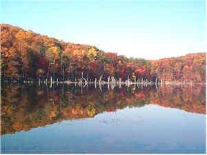 Cave Run Lake Birdwatching