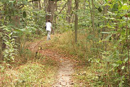 Martha Lafite Thompson Nature Sanctuary