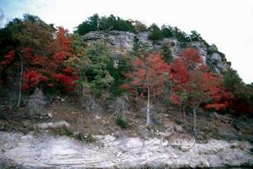 Truman State Park Nature Trails