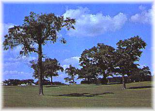Mt.Vernon Golf Course