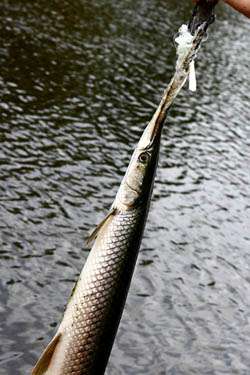 Lake Enid Fishing