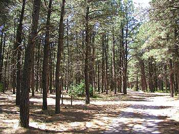 Chadron State Park Hiking