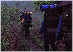 Hiking Trails