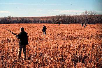 Harlan Lake Hunting