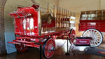 Budweiser Brewery Experience - Merrimack