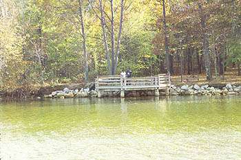 Alum Creek Lake Fishing