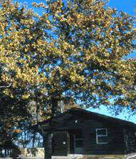 Keystone Lake Cabins