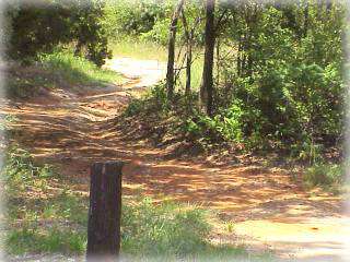 Arcadia Lake Trails