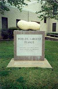 World's Largest Peanut