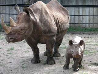 Great Plains Zoo and Delbridge Museum