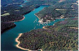 Norris Lake Fishing