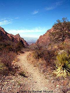 Big Bend Equestrian Use