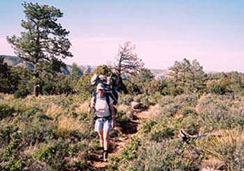 Guadalupe Mountains Trails