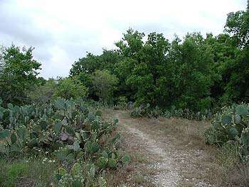 Granger Lake Multi-Use Trails