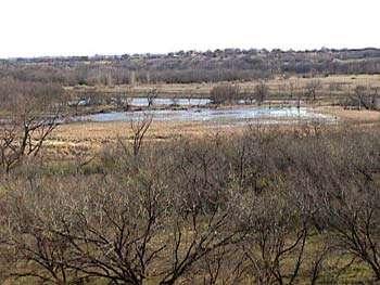 Proctor Lake Hunting