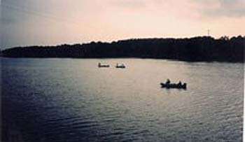 Lake O' the Pines Fishing