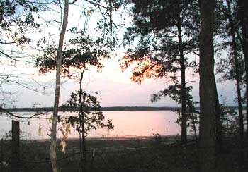 Lake O' The Pines Camping