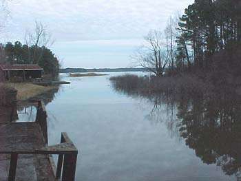 Sam Rayburn Wildlife Viewing