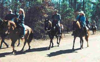 Equestrian Trails at Wright Patman Lake