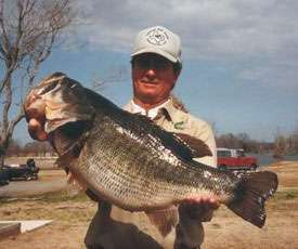 Lake Fork Fishing