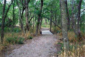 Bardwell Lake Trails