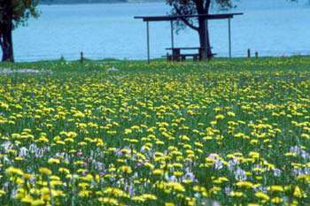 Benbrook Lake Camping