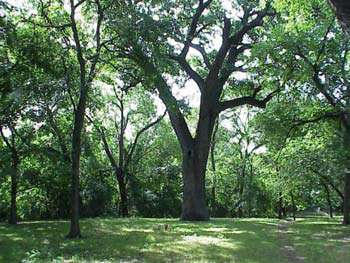 Benbrook Lake Trails