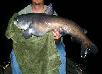 Lavon Lake Fishing