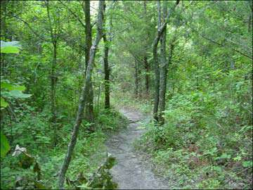 Hiking/Biking Near Lavon Lake