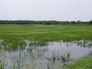 Hagerman National Wildlife Refuge