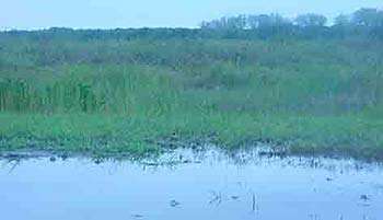 Waco Lake Hunting