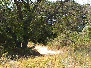 McCown Valley Equestrian Area and Campground