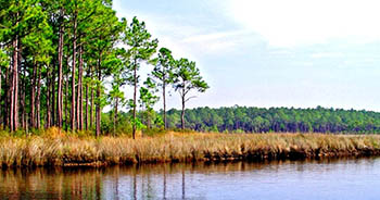 Grand Bay, Alabama