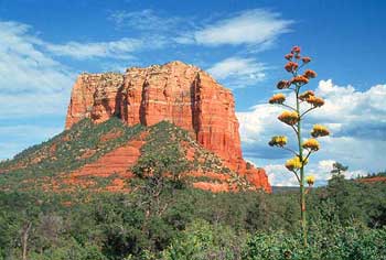 Sedona