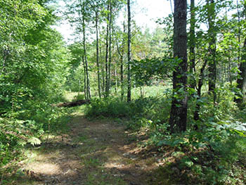 Merrimack, New Hampshire
