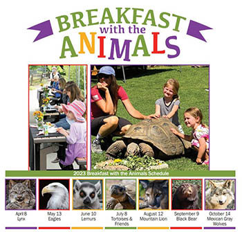 Breakfast with the Tortoise & Friends - Heritage Park Zoological Sanctuary